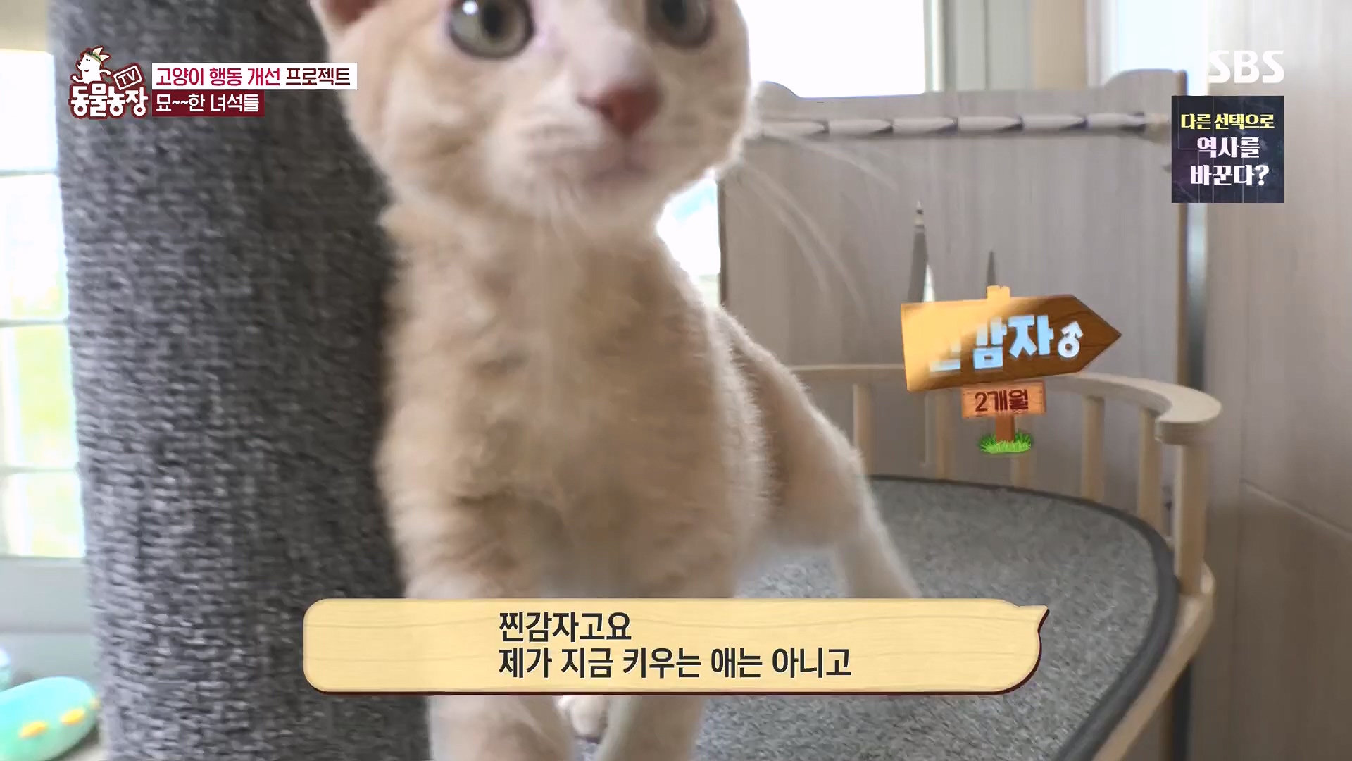 TV 동물농장.E1136.230903p.H264-F1RST.mp4_20230903_180353.561.jpg