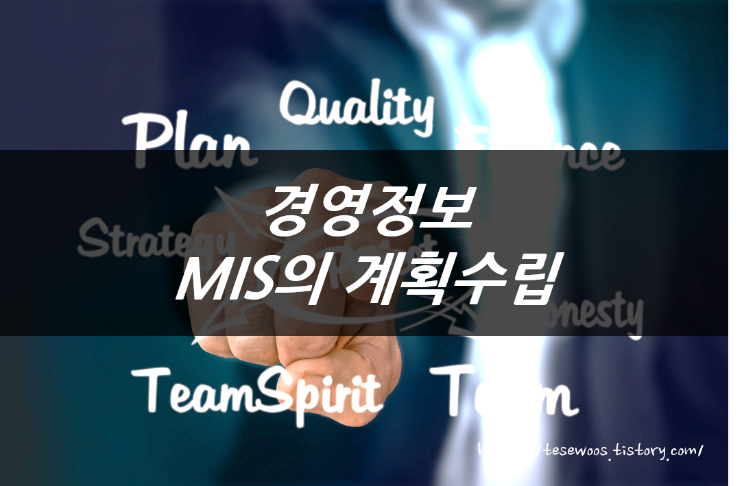  경영정보 : MIS의 계획수립