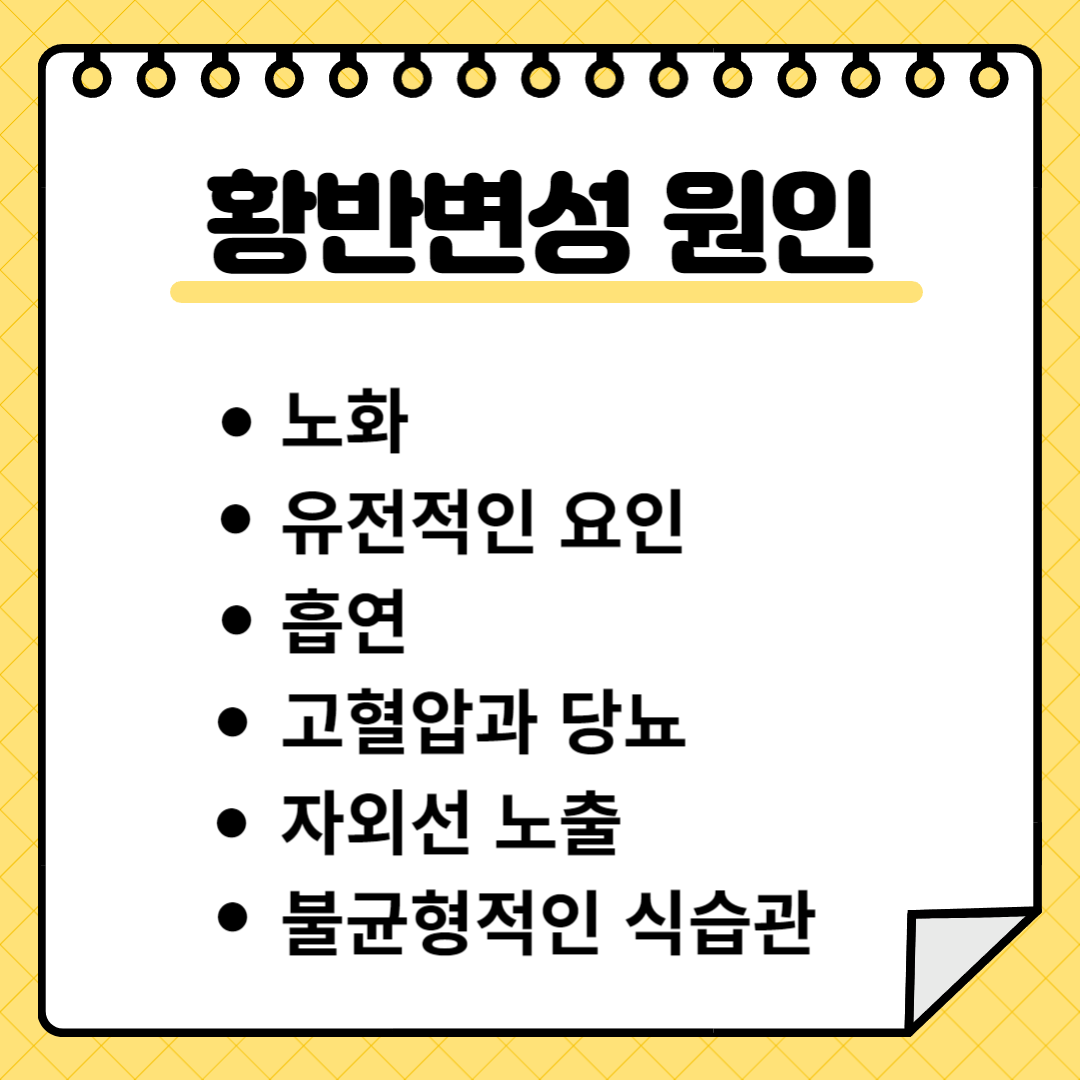 황반변성 원인