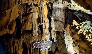 울진 성류굴 아이와 명소