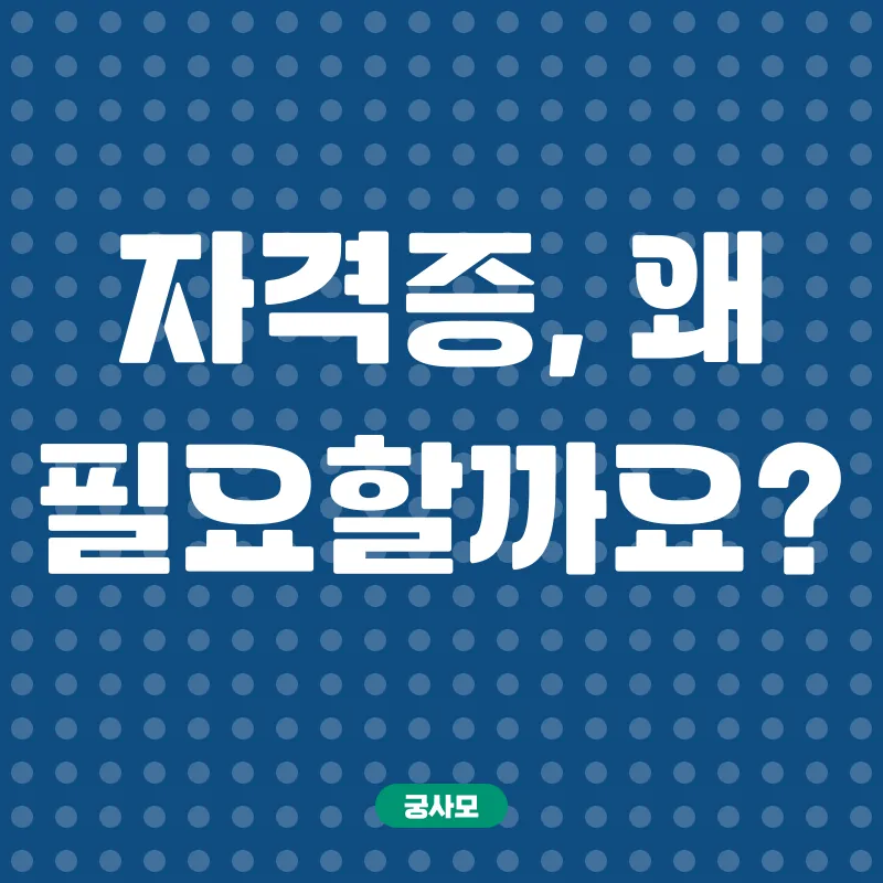 베이비시터 민간자격증_1