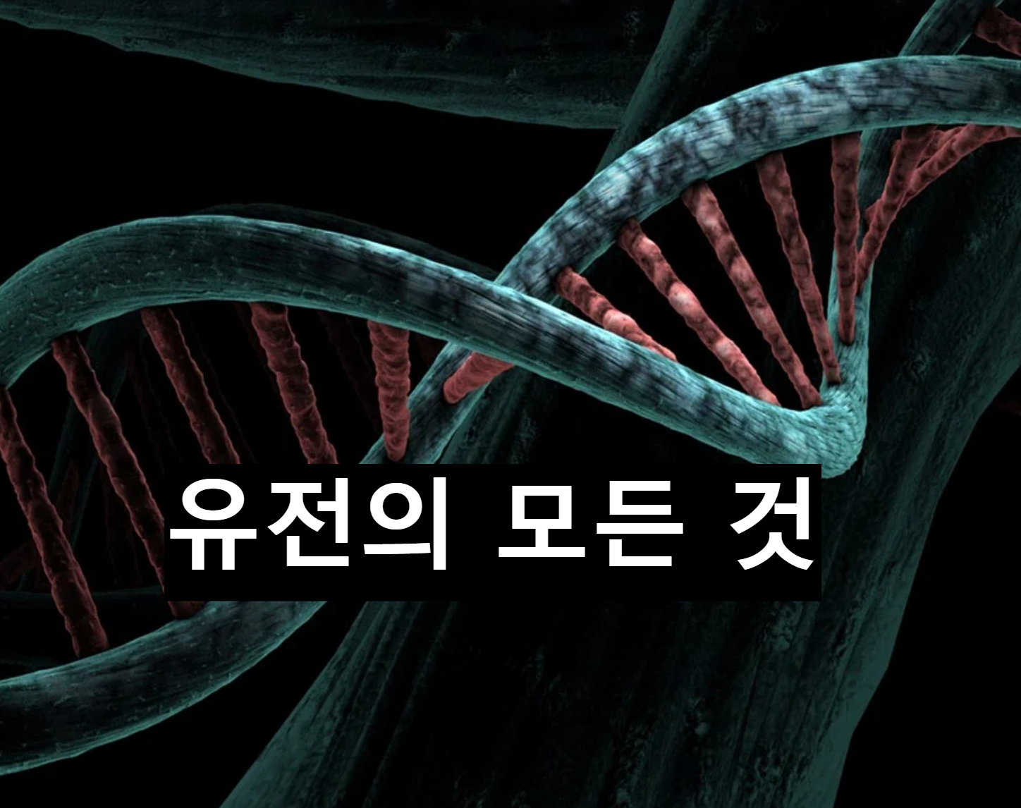  유전의 정의, 비율, 우성 및 열성에 대해
