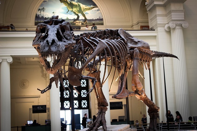 Field Museum