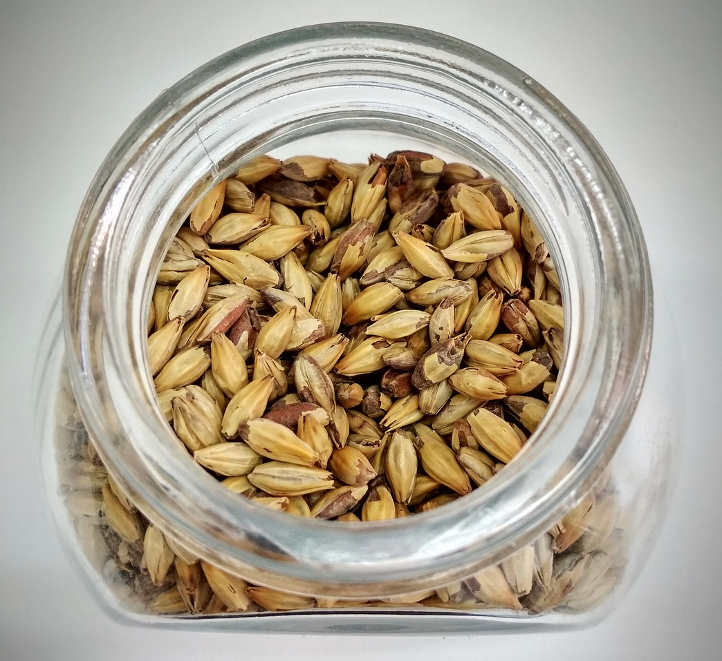 맥아-병에-담겨있는-사진