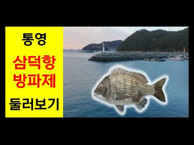 삼덕항 욕지도 배시간표 배편 예약 요금_5