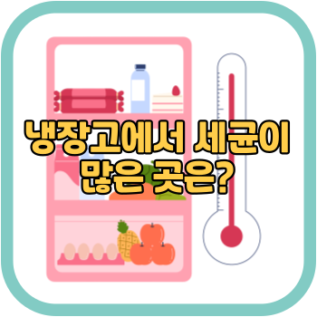 냉장고에서 세균이 많은 곳은?