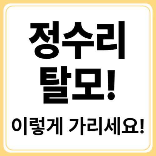 정수리 탈모 걱정 끝! 헤어스타일·가발·증모술까지 완벽 가이드