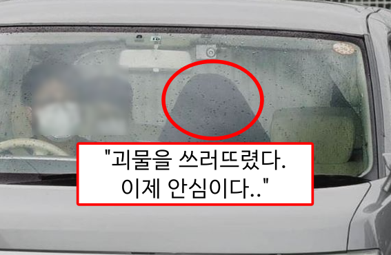  "괴물을 쓰러뜨렸다" 9년간 학대한 엄마 살해한 딸