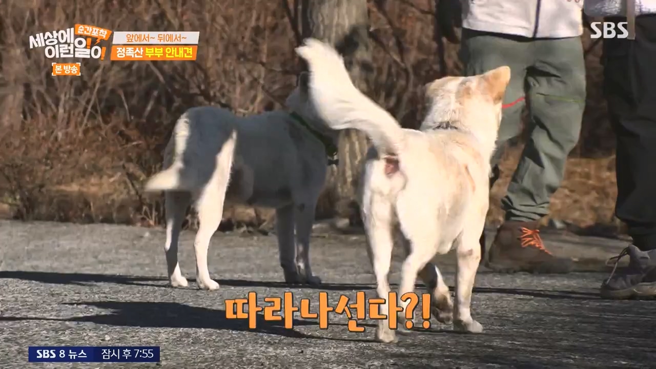 순간포착 세상에 이런일이.E1256.231217p-NEXT.mp4_20231217_175016.856.jpg
