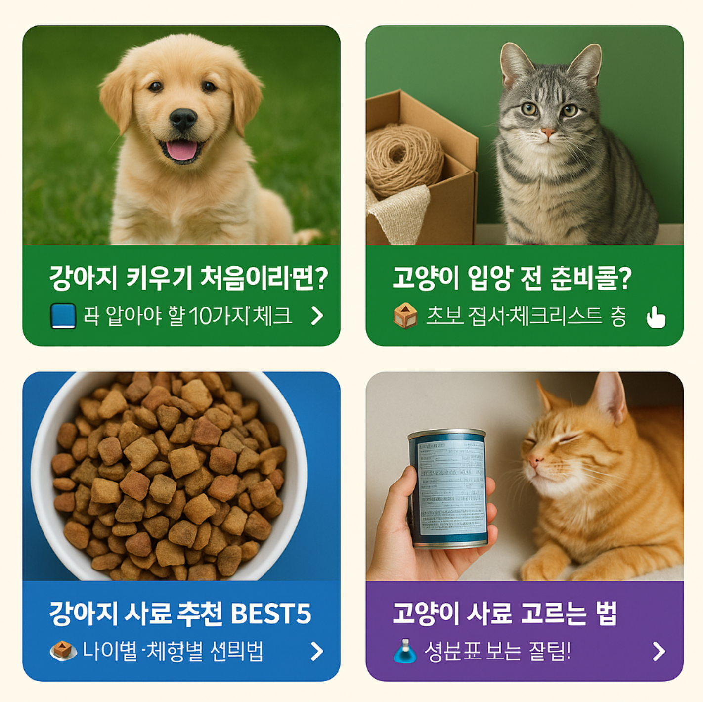 2025 강아지 고양이 반려동물 키우기 꿀팁 총정리
