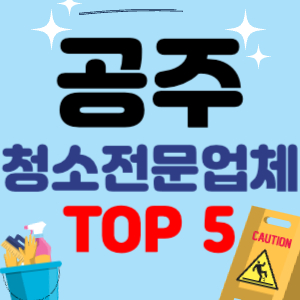 공주 입주청소 비용 가격 전문 아파트 후기 업체 이사청소 줄눈시공 원룸청소 추천 견적 TOP 5