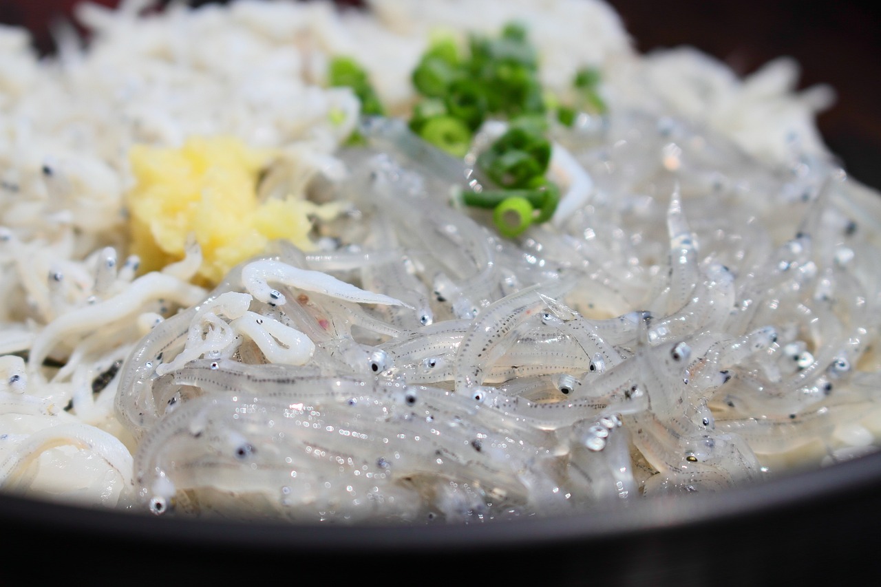 남해 창선시장 멸치쌈밥