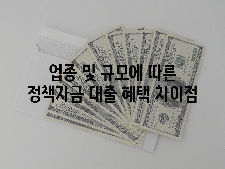 업종 및 규모에 따른 정책자금 대출 혜택 차이점