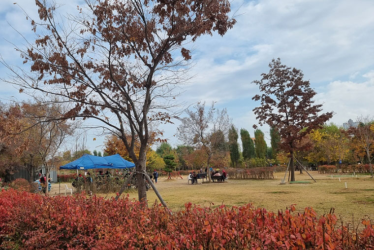 1호 공식 파크골프장, 여의도 한강공원 파크골프장 미리보기