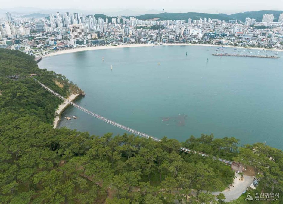 울산 가볼만한곳 베스트10