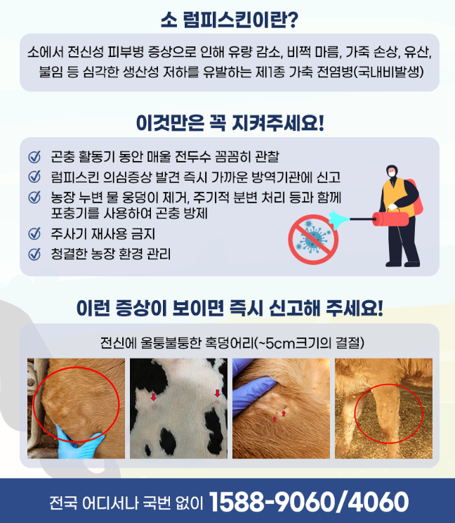 소 럼피스킨병 이것만은 꼭