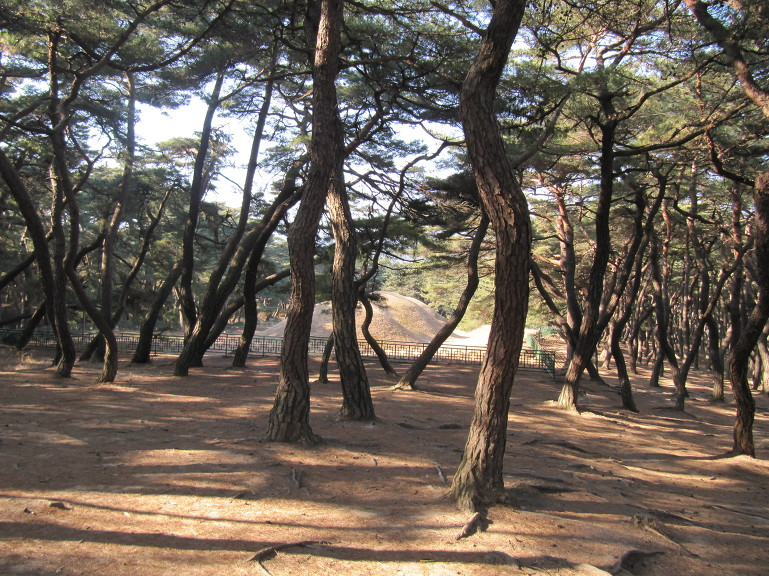 경주 남산 : 삼릉계에서 용장골 3