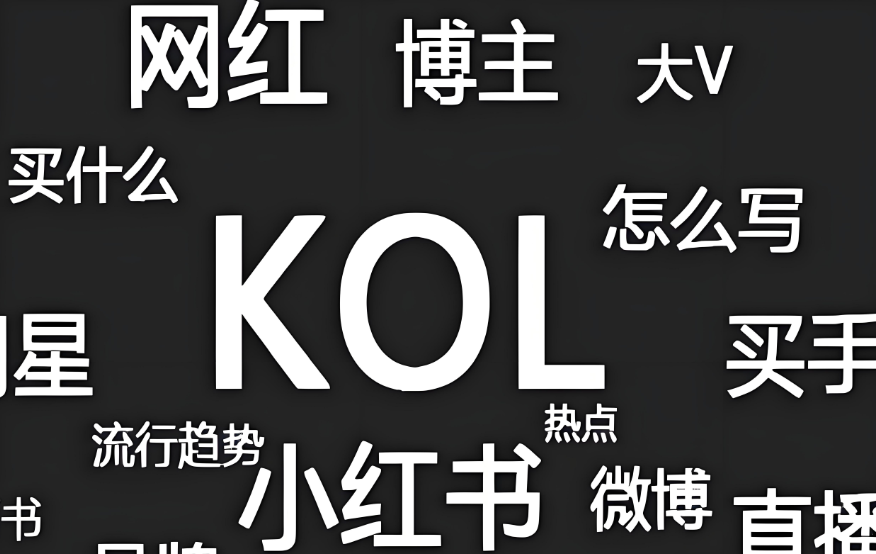 KOL&왕홍