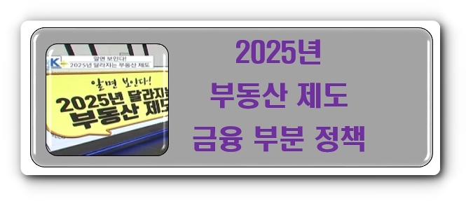 2025년 부동산 제도 금융 부분 정책