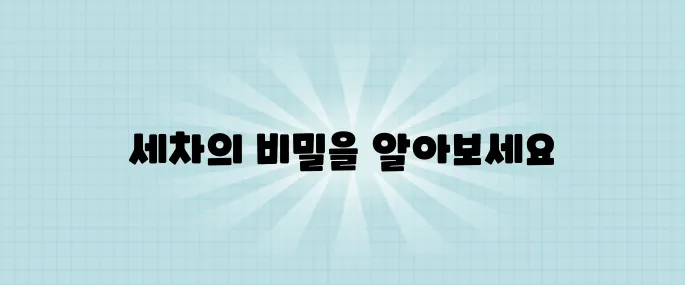 세차를 이렇게 하면 광택이 살아납니다 99%가 모르는 디테일 세차 비법을 대공개합니다!