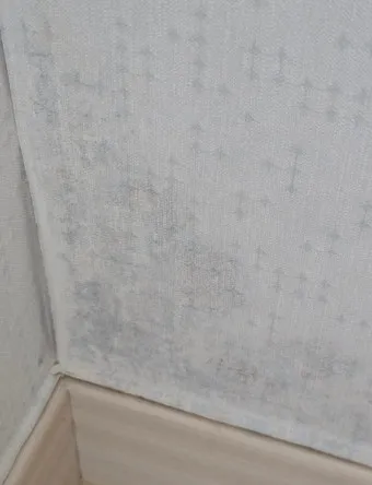 벽지 곰팡이 제거법 원인 파악과 셀프 클리닝 요령 정리_10