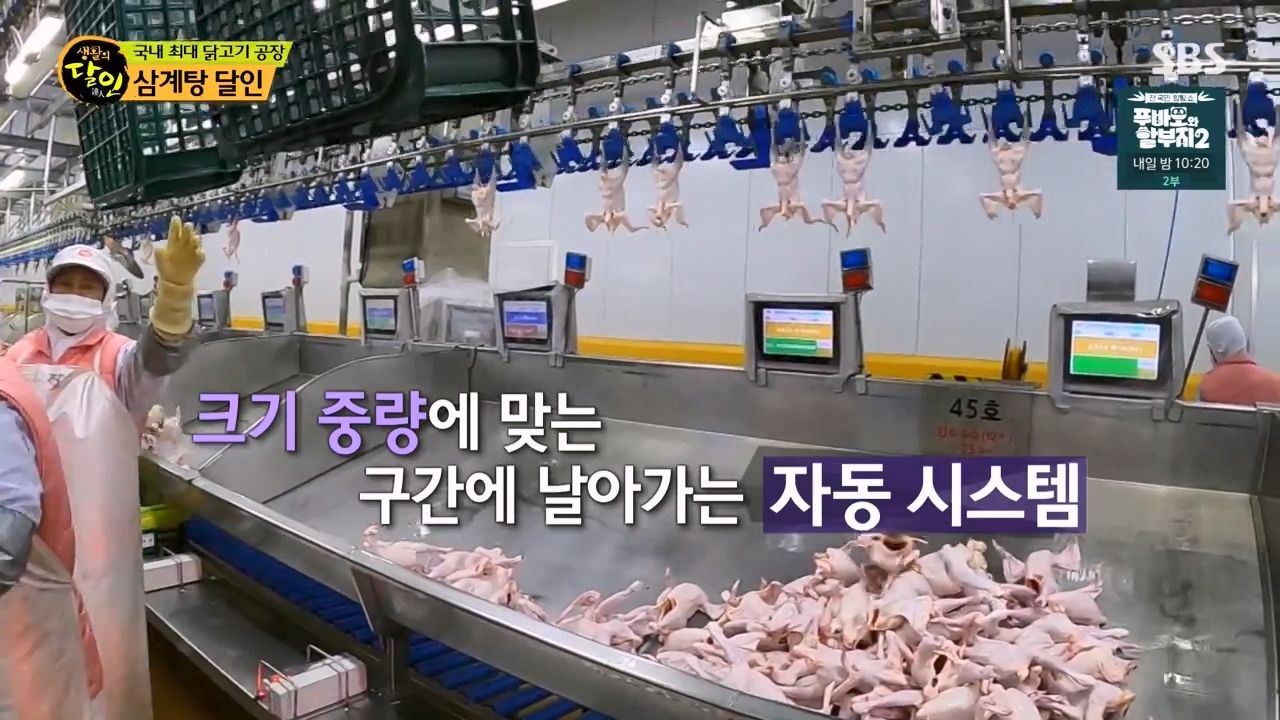 생활의 달인.E929.240402p-NEXT.mp4_20240402_195158.036.jpg