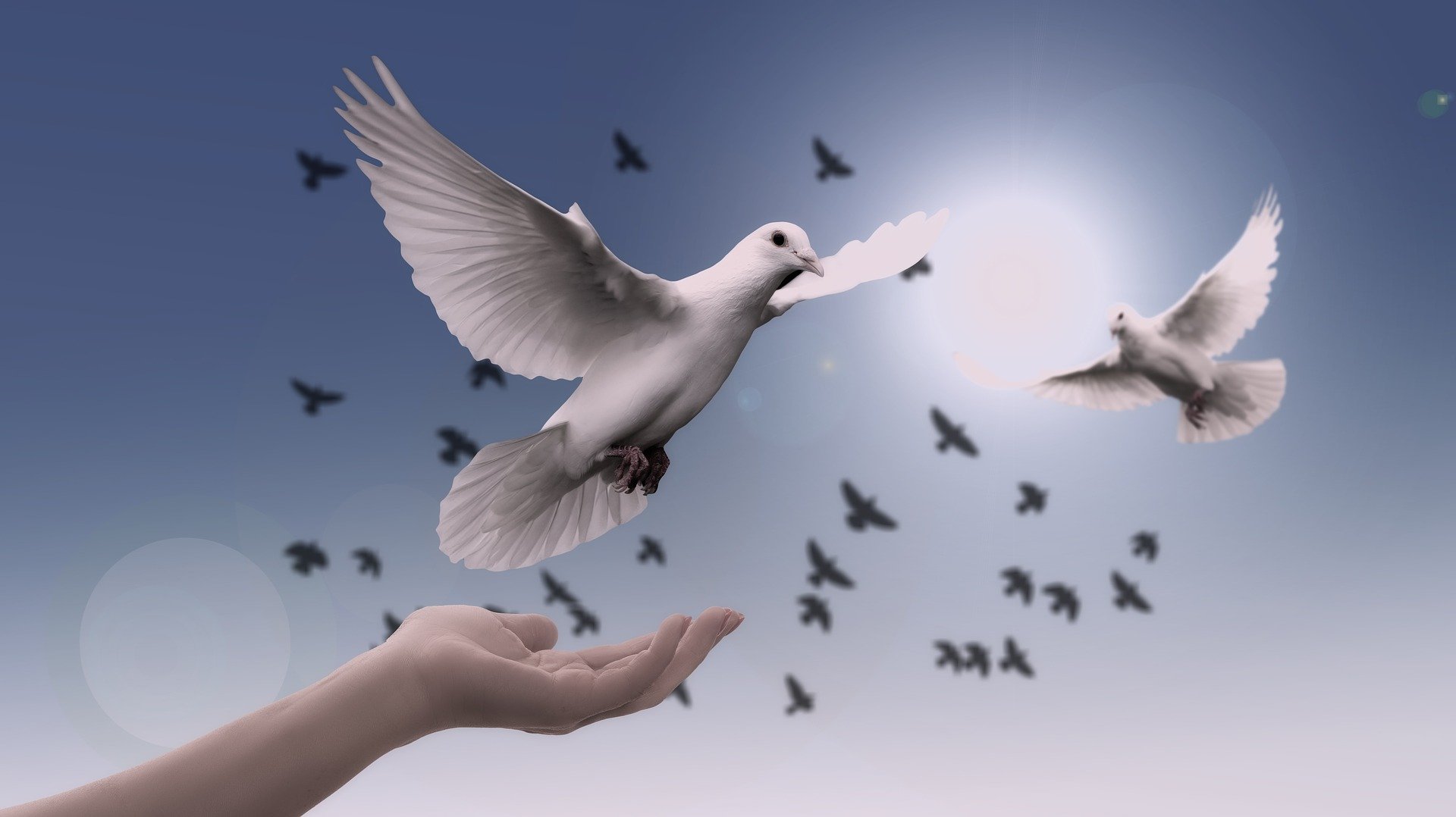 'Amazing Grace'의 이미지 사진
