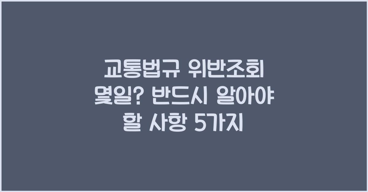 교통법규 위반조회 몇일