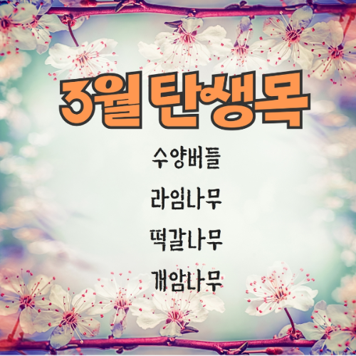  3월의 탄생목 - 수양버들, 라임나무, 떡갈나무, 개암나무