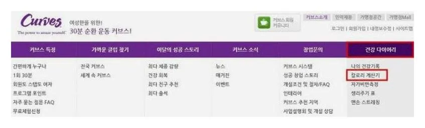 음식 칼로리