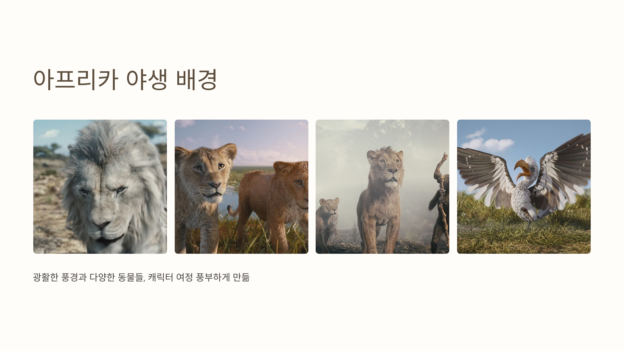 무사파 라이온 킹 프리젠테이션 설명 사진 아프리카 야생 배경