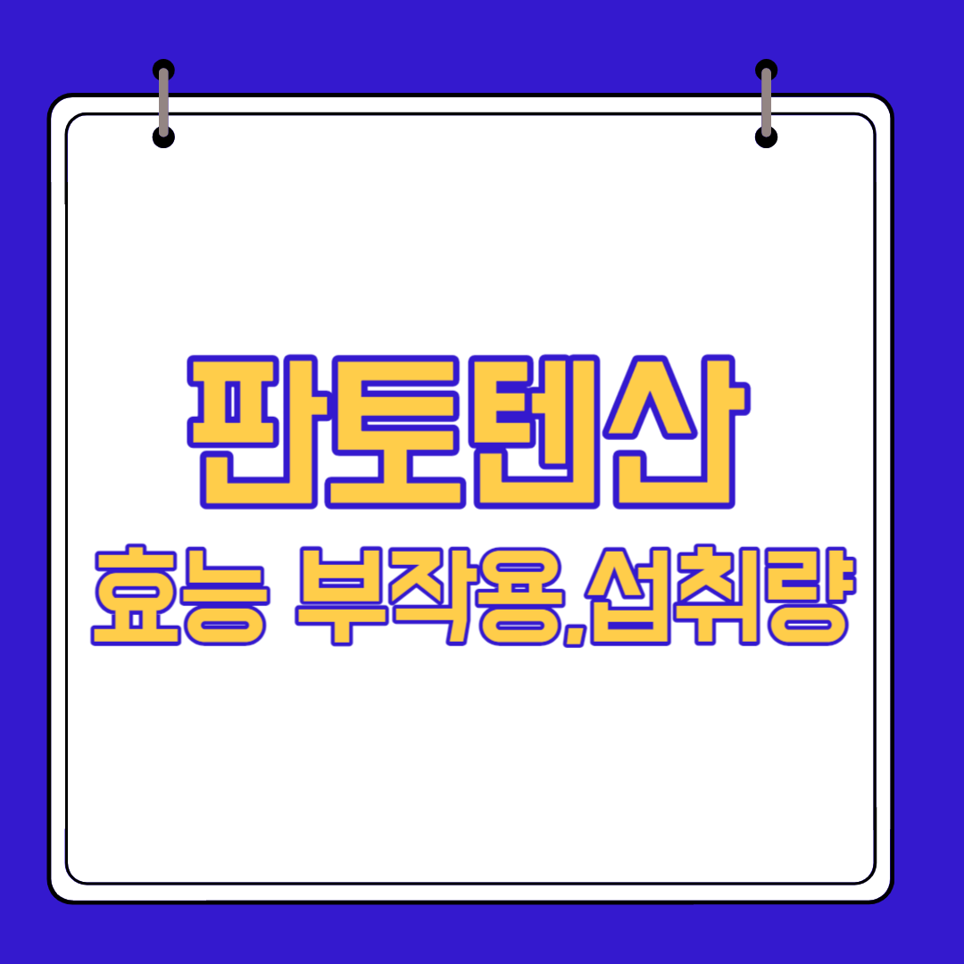  판토텐산 효능 부작용,섭취량