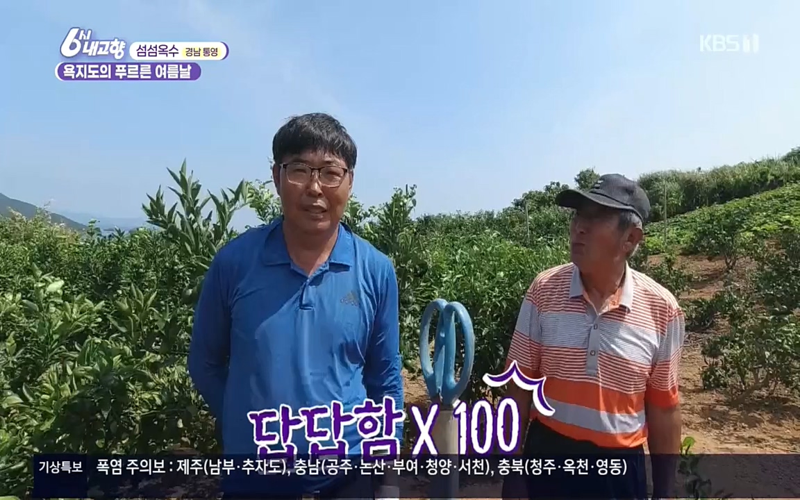 6시 내고향.E7596.220813p.H264-F1RST.mp4_20220814_180553.695.jpg