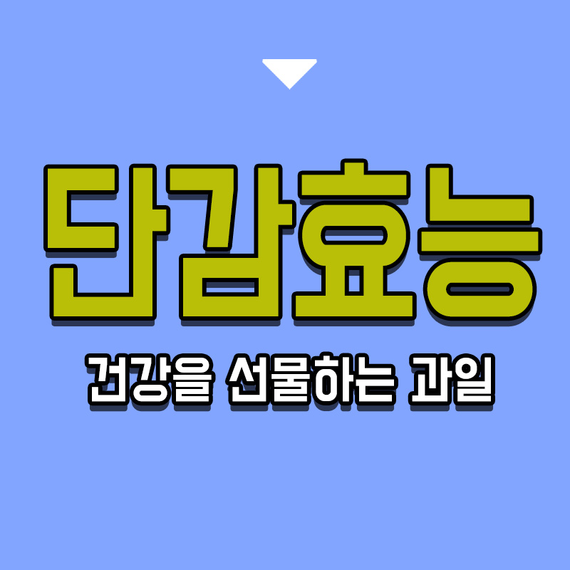 타이틀-단감효능-건강을-선물하는-과일