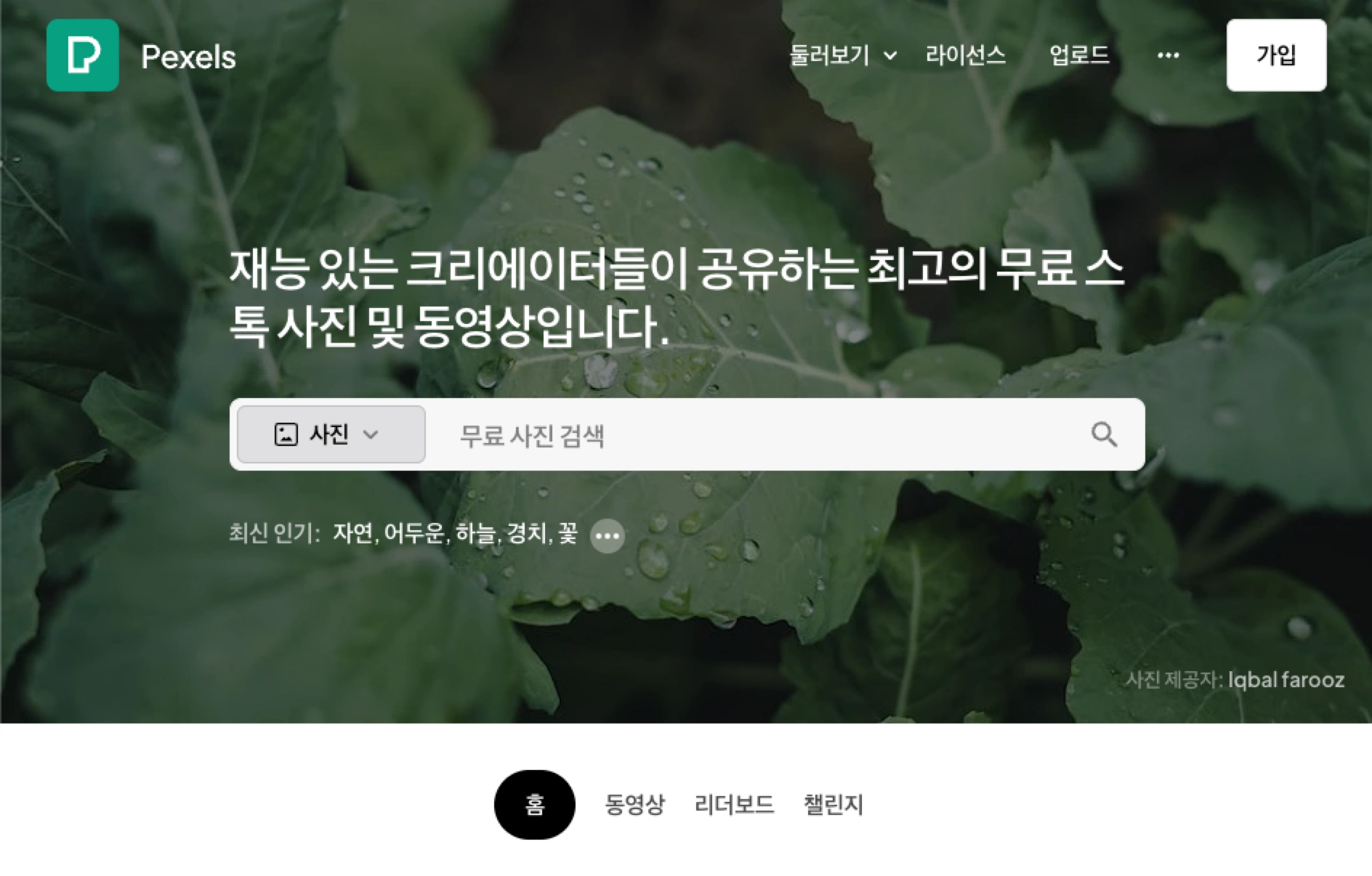 Pexels 크리에이터 무료 스톡 사진