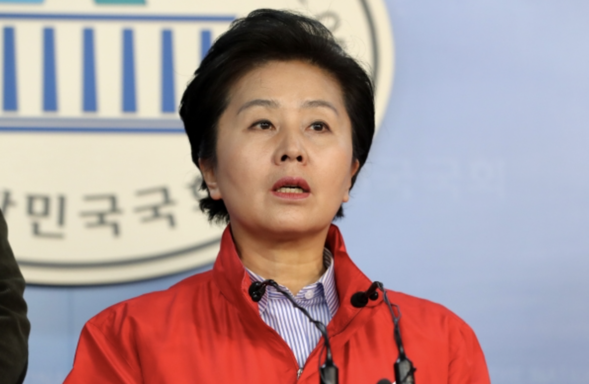  김영선 나이 재산 고향 학력 이력 프로필 (4선 의원 출신)
