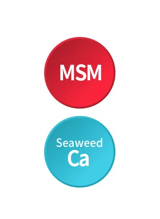 호관원-성분-MSM-SeaweedCa