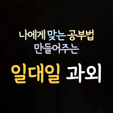  금학동 수학과외 공주 옥룡동 영어과외 중학생 국어과외 초등 중등 고등 내신 전문 일대일 코칭
