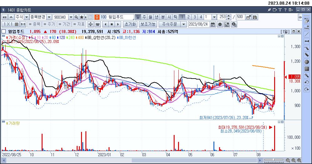 윙입푸드 일봉 차트