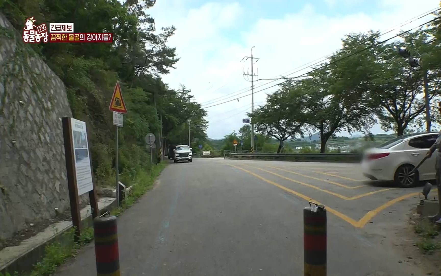 TV 동물농장.E1081.220807p.H264-F1RST.mp4_20220807_213636.305.jpg