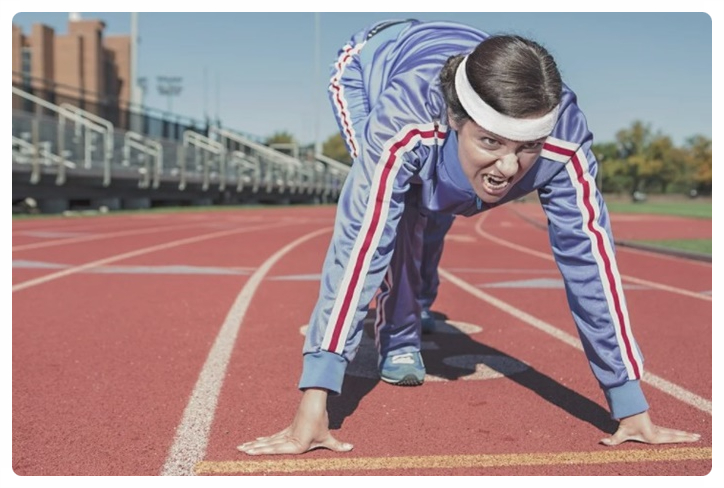 시서스 효과 시서스가루 부작용 제대로 1
