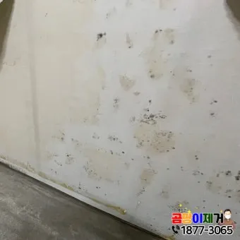 벽지 곰팡이 제거법 원인 파악과 셀프 클리닝 요령 정리_22