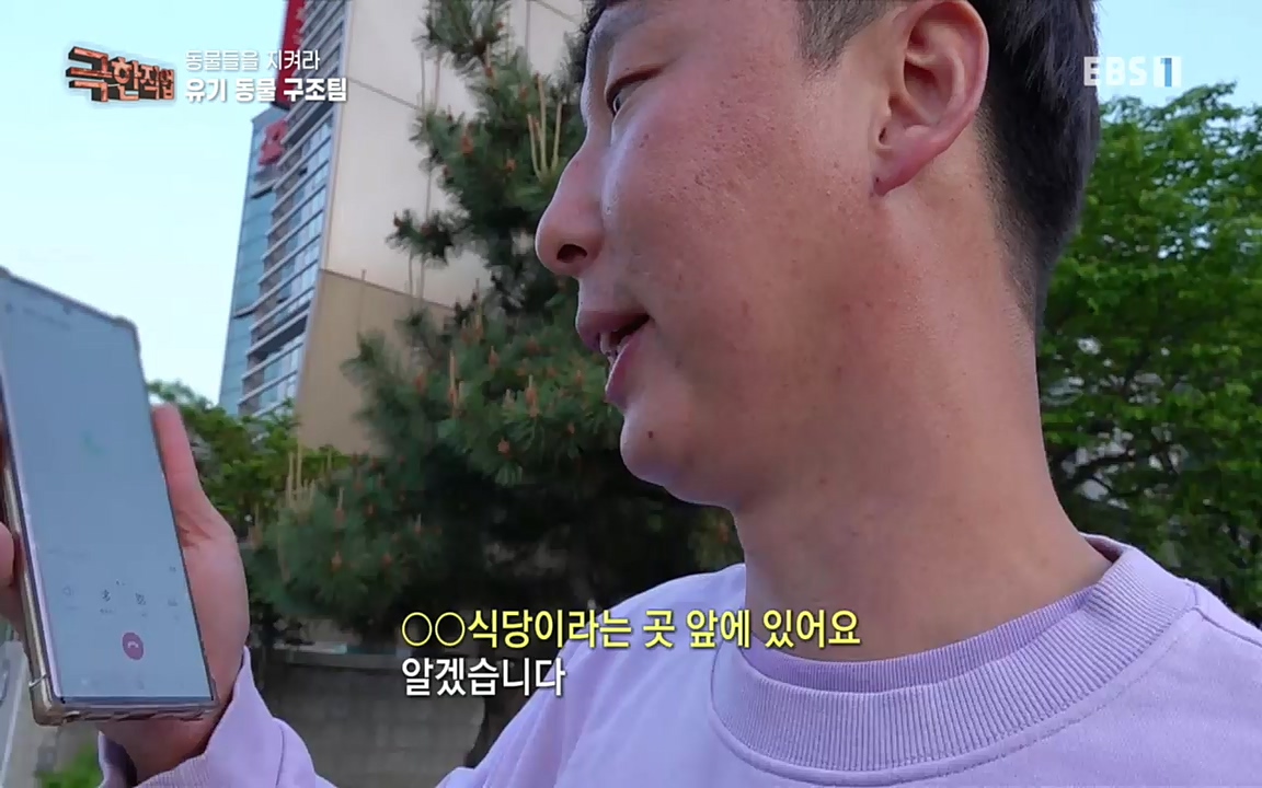 TV - 교육의 중심 EBS동물들을 지켜라, 수의사와 유기 동물 구조팀.mp4_20220913_200154.700.jpg