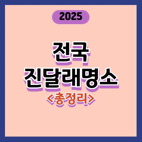 2025 전국 진달래 명소 총정리