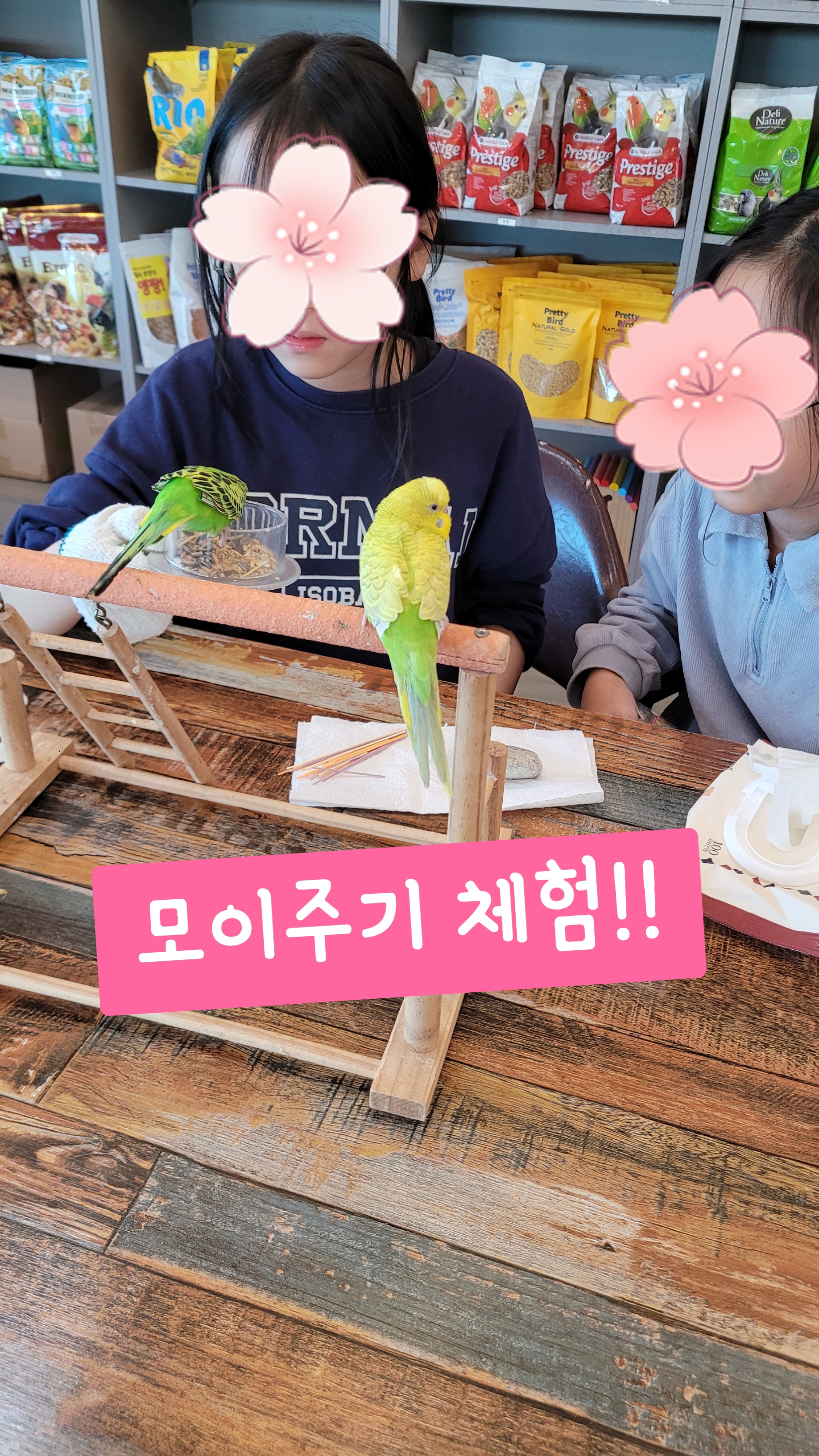 찐소 이미지