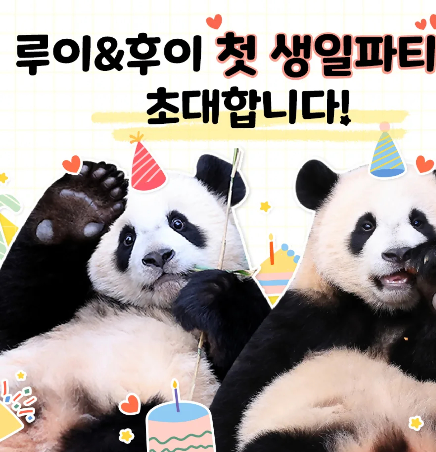 푸바오와 강할부지 만남?! 중국 간 강바오 사육사 동영상, 쌍둥바오 루이,후이 생일파티 인형, 굿즈