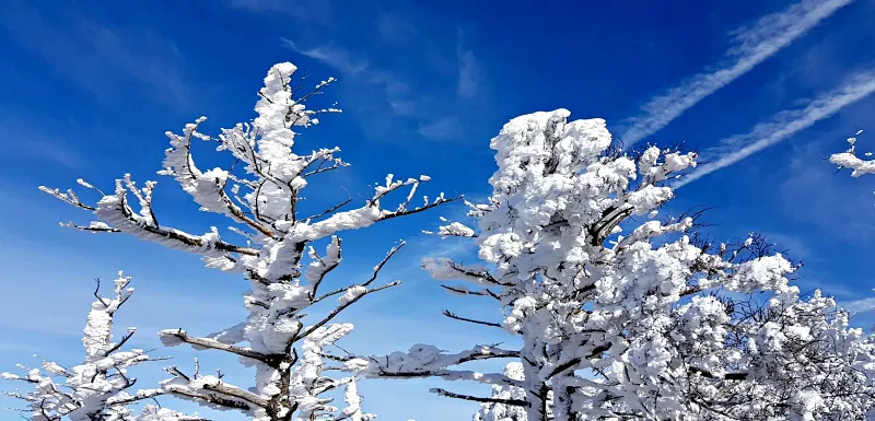 제주 한라산 설경 상고대