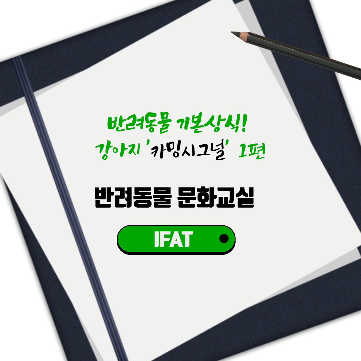  반려동물 기본상식! 강아지 '카밍시그널' 1편