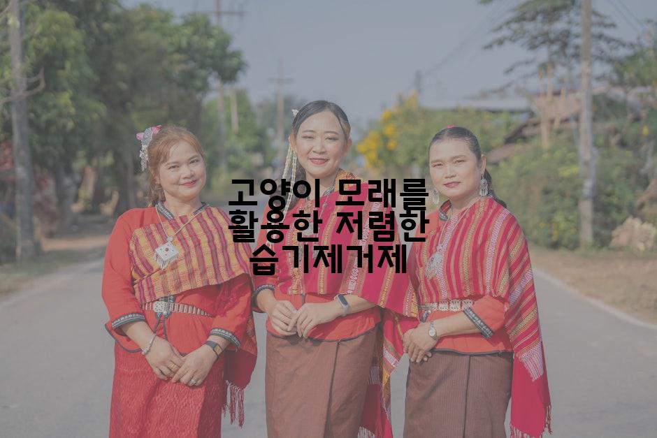 고양이 모래를 활용한 저렴한 습기제거제