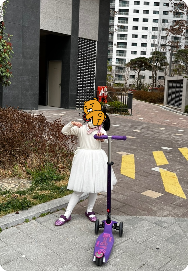 마이크로킥보드맥시